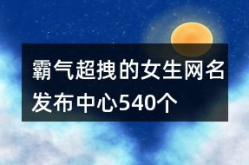 超个性的网名,揭秘超个性网名的魅力与创意